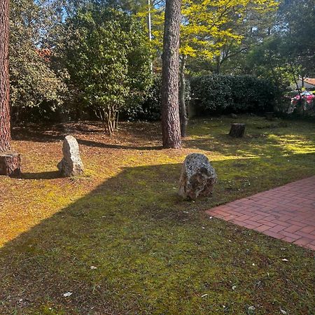 Les Grillons D'Eden Villa Saint-Jean-de-Monts Kültér fotó
